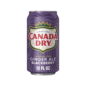 Canada Dry Blackberry Ginger Ale Can (355 ml)