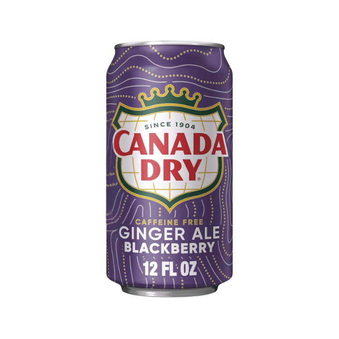 Canada Dry Blackberry Ginger Ale Can (355 ml)