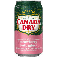 Canada Dry Strawberry Fruit Splash Ginger Ale 355ml (US)